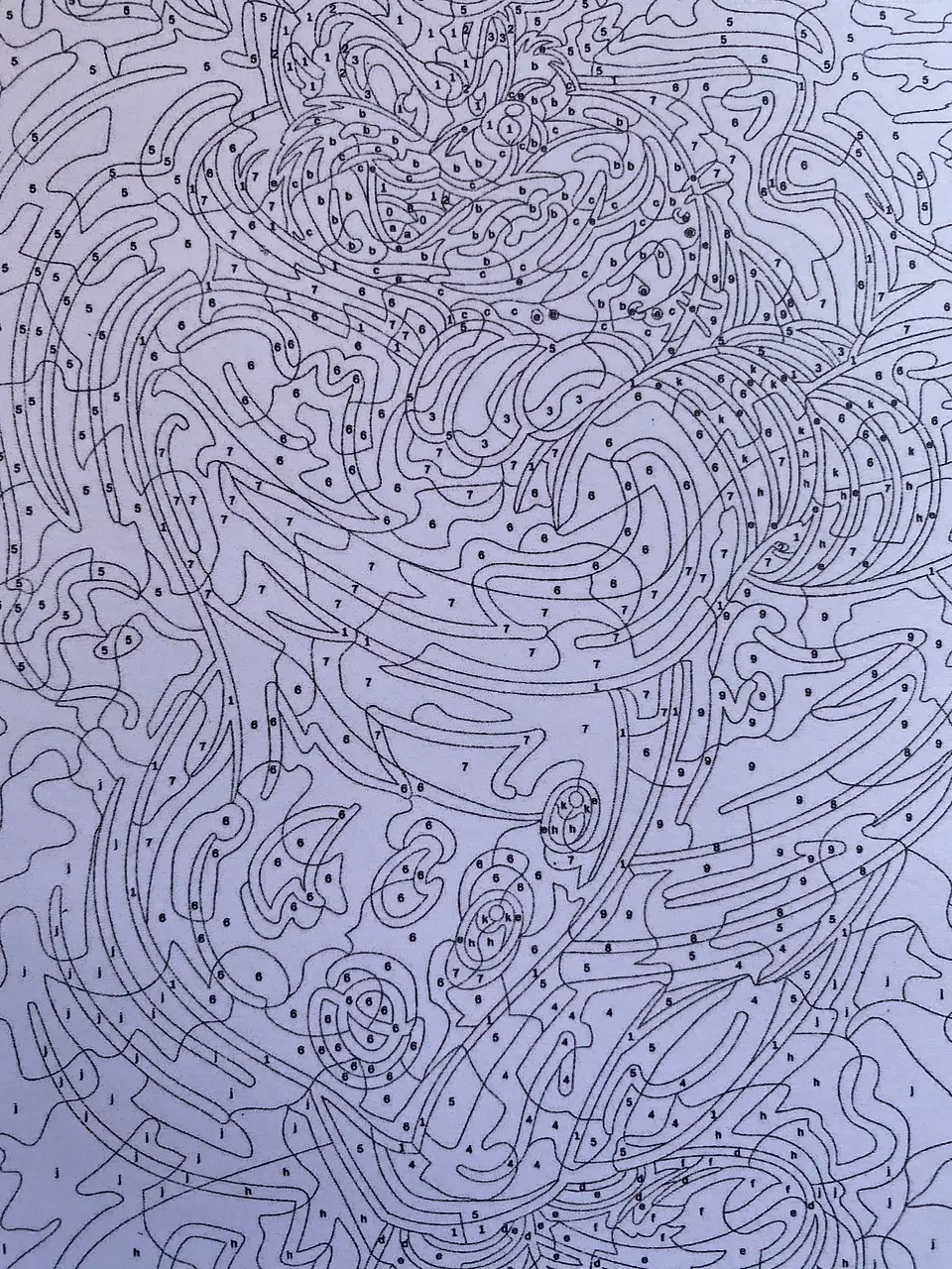 Libro para colorear 
