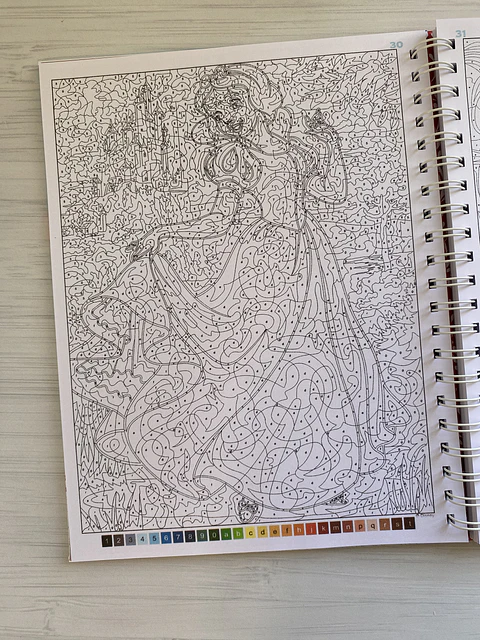 Libro para colorear "Princesas"  