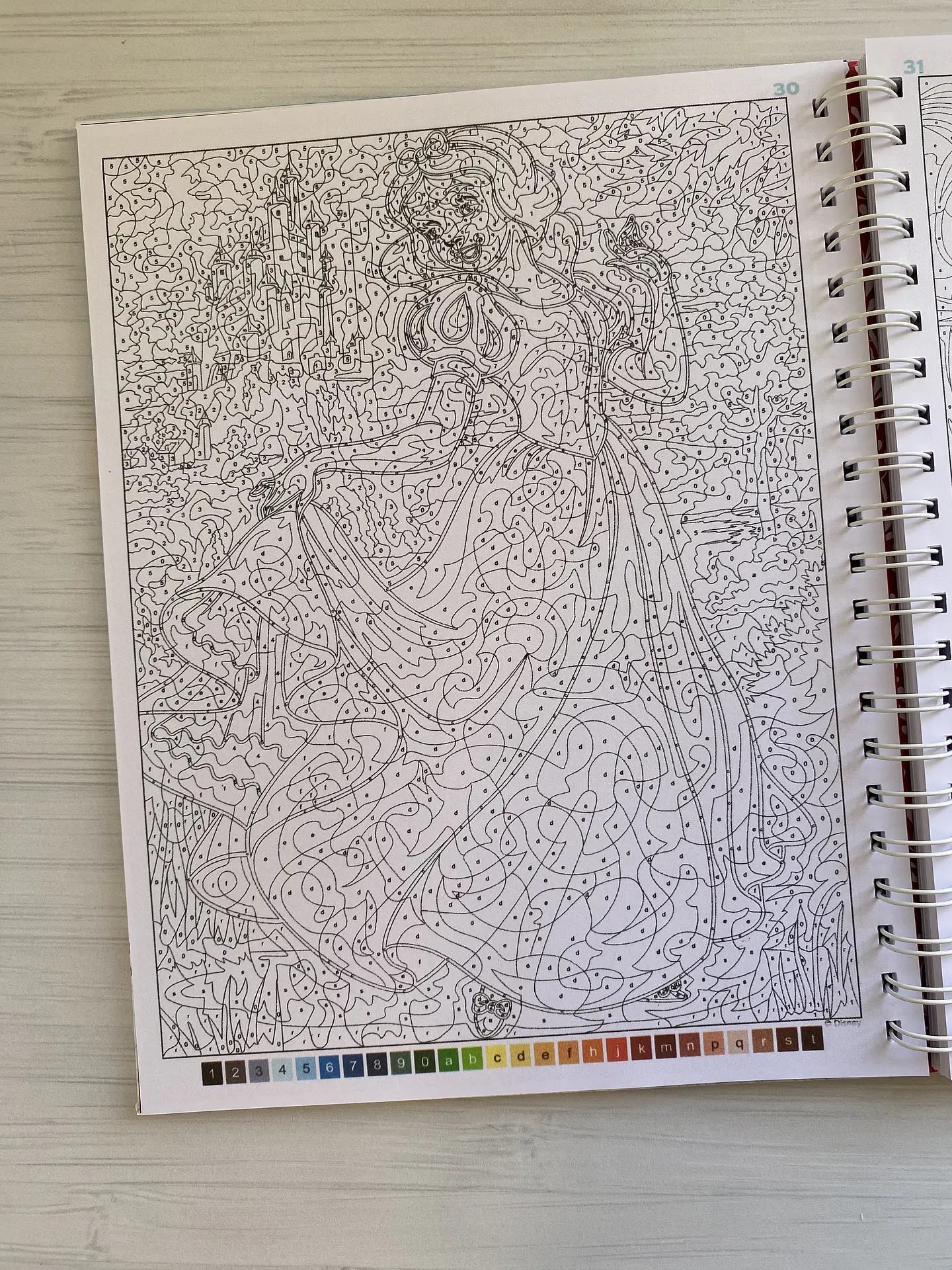 Libro para colorear 
