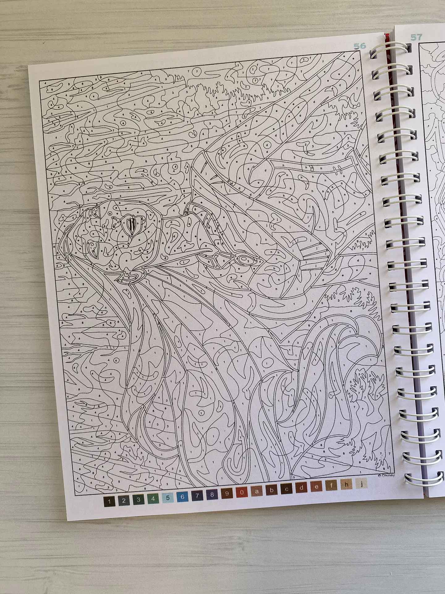 Libro para colorear 