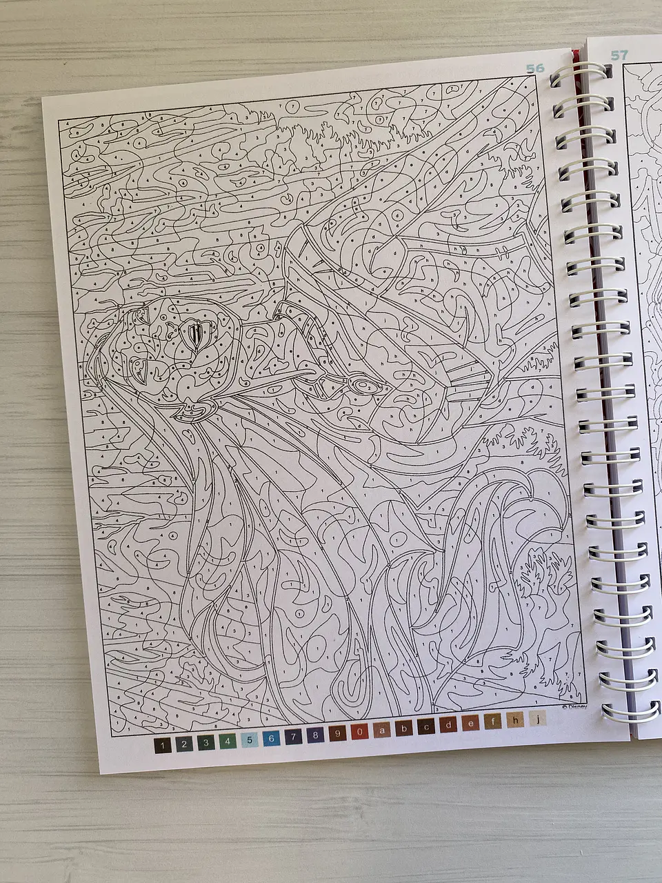 Libro para colorear 
