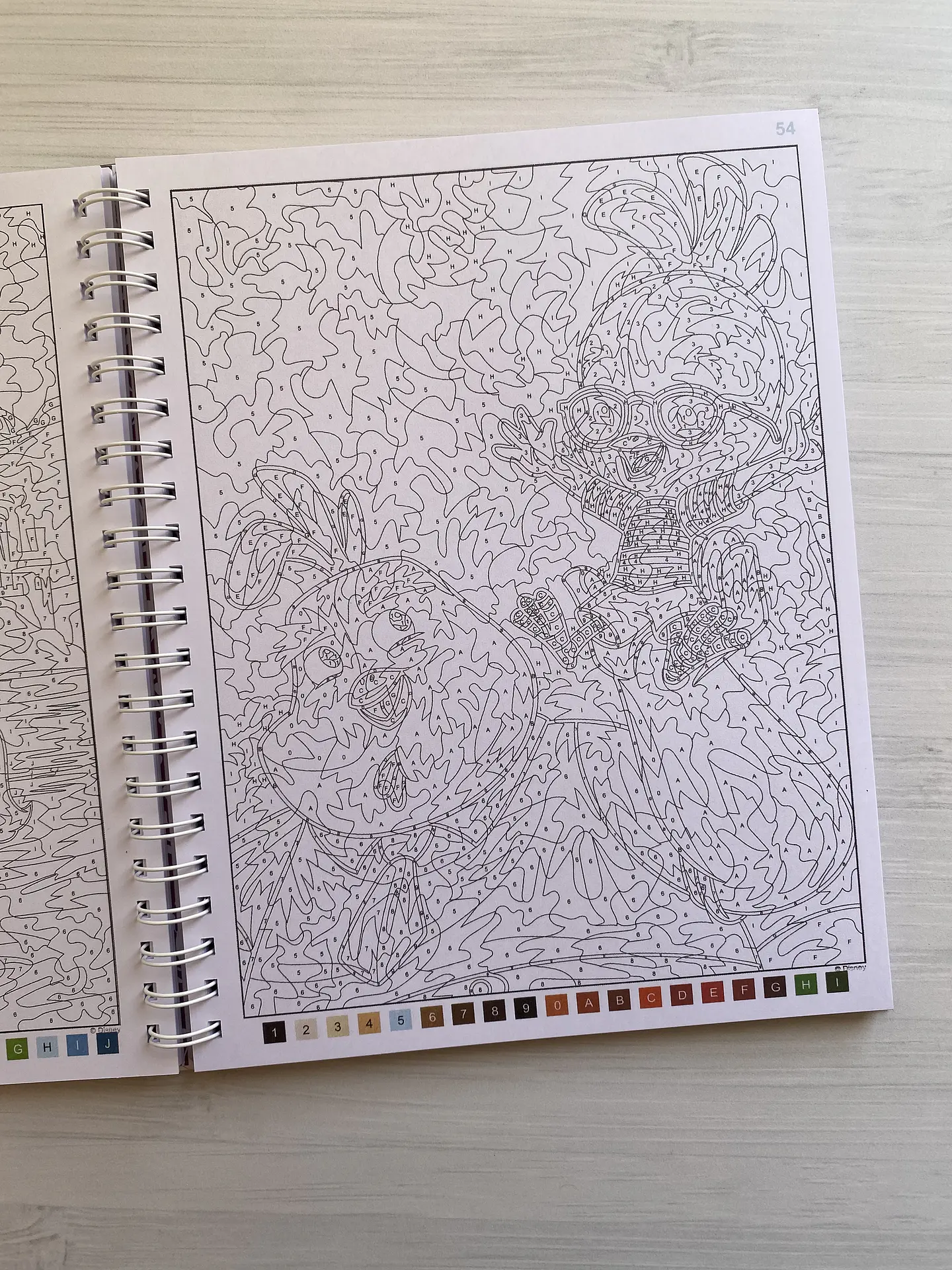 Libro para colorear 