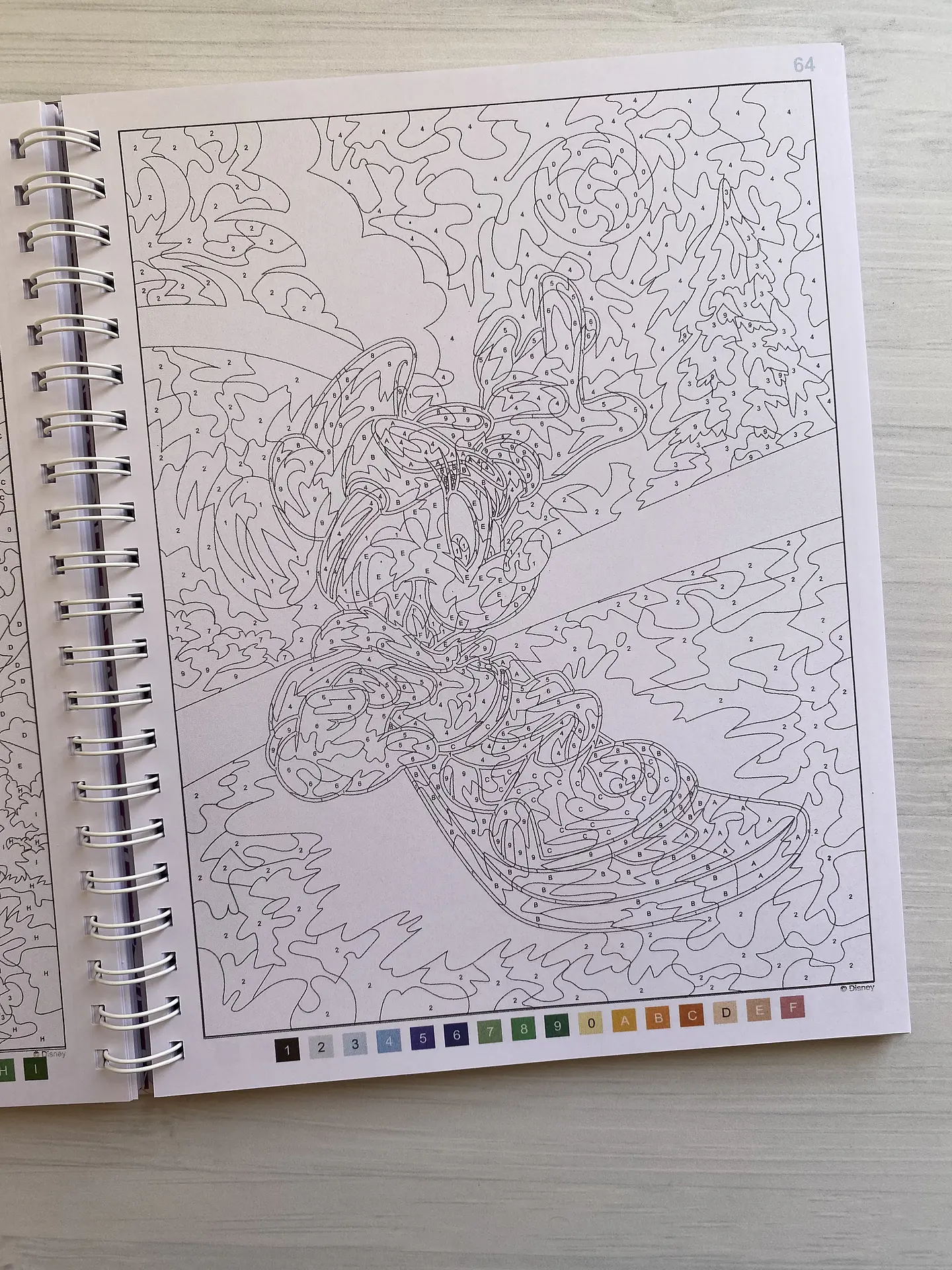 Libro para colorear 
