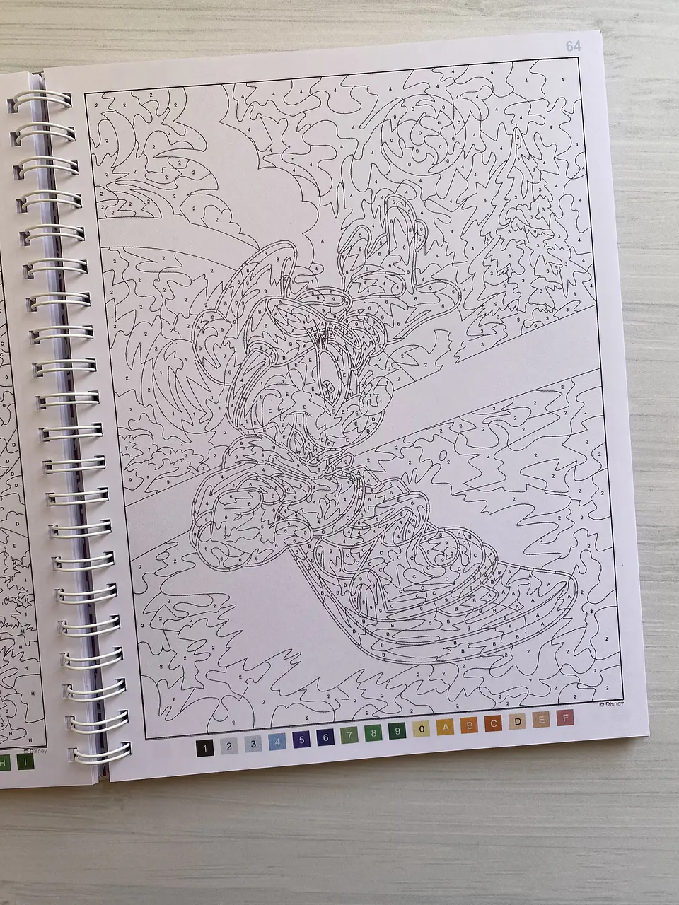 Libro para colorear 