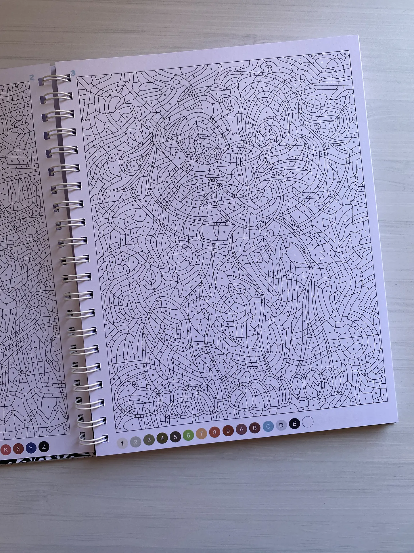 Libro para colorear 