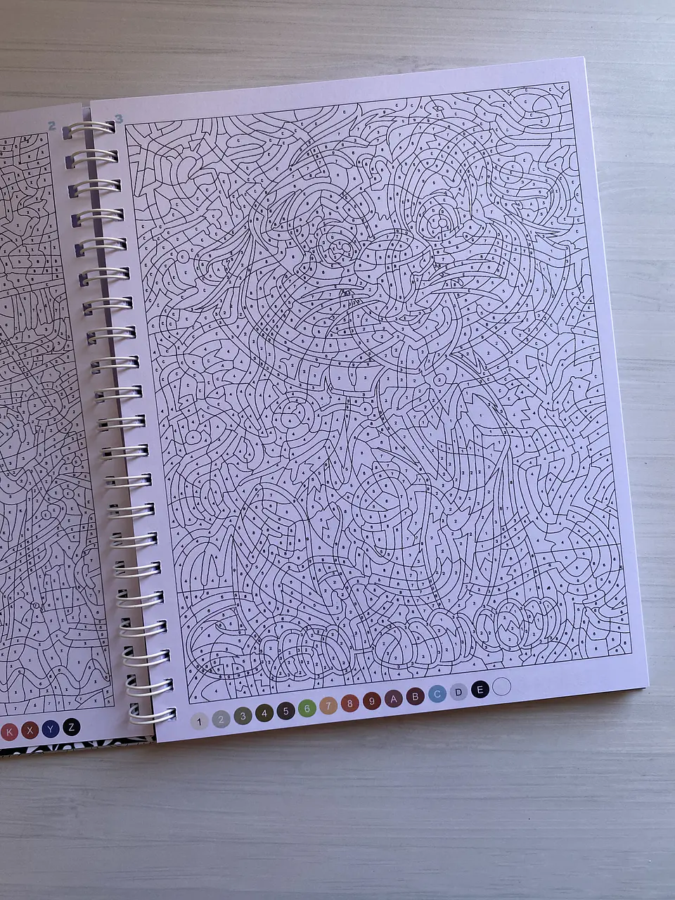 Libro para colorear 