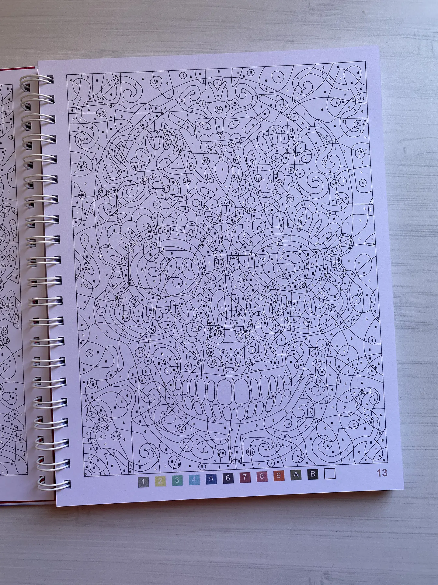 Libro para colorear “ Sorciéres (Brujas)