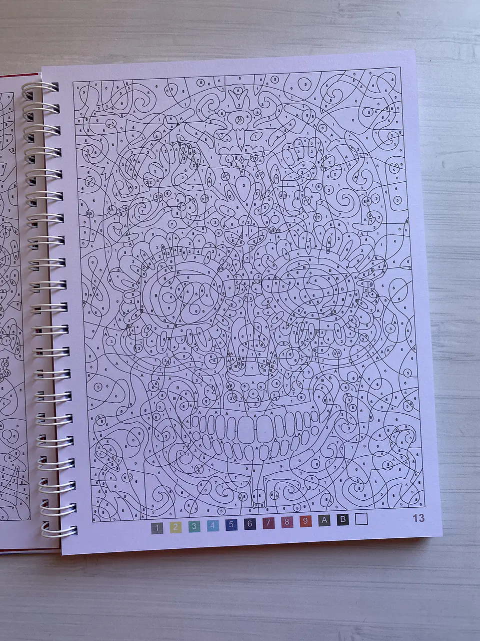 Libro para colorear “ Sorciéres (Brujas)