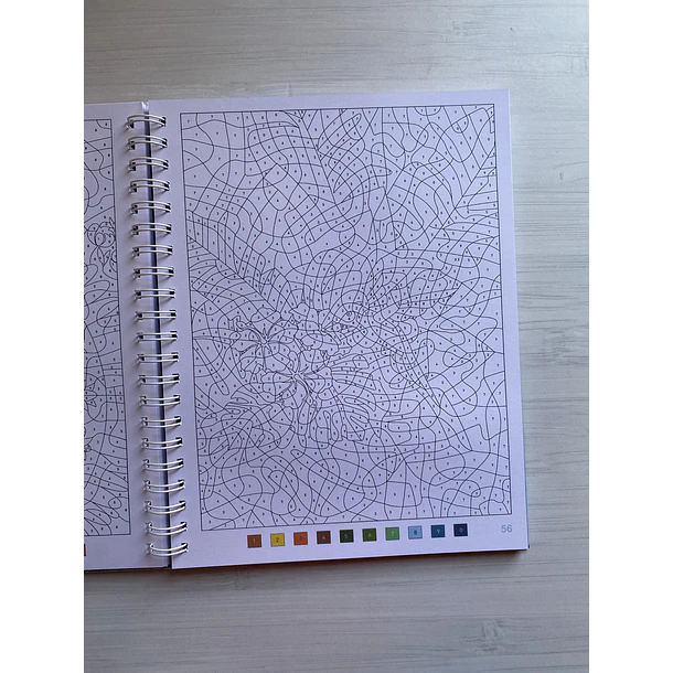 Libro para colorear con ilustraciones variadas.