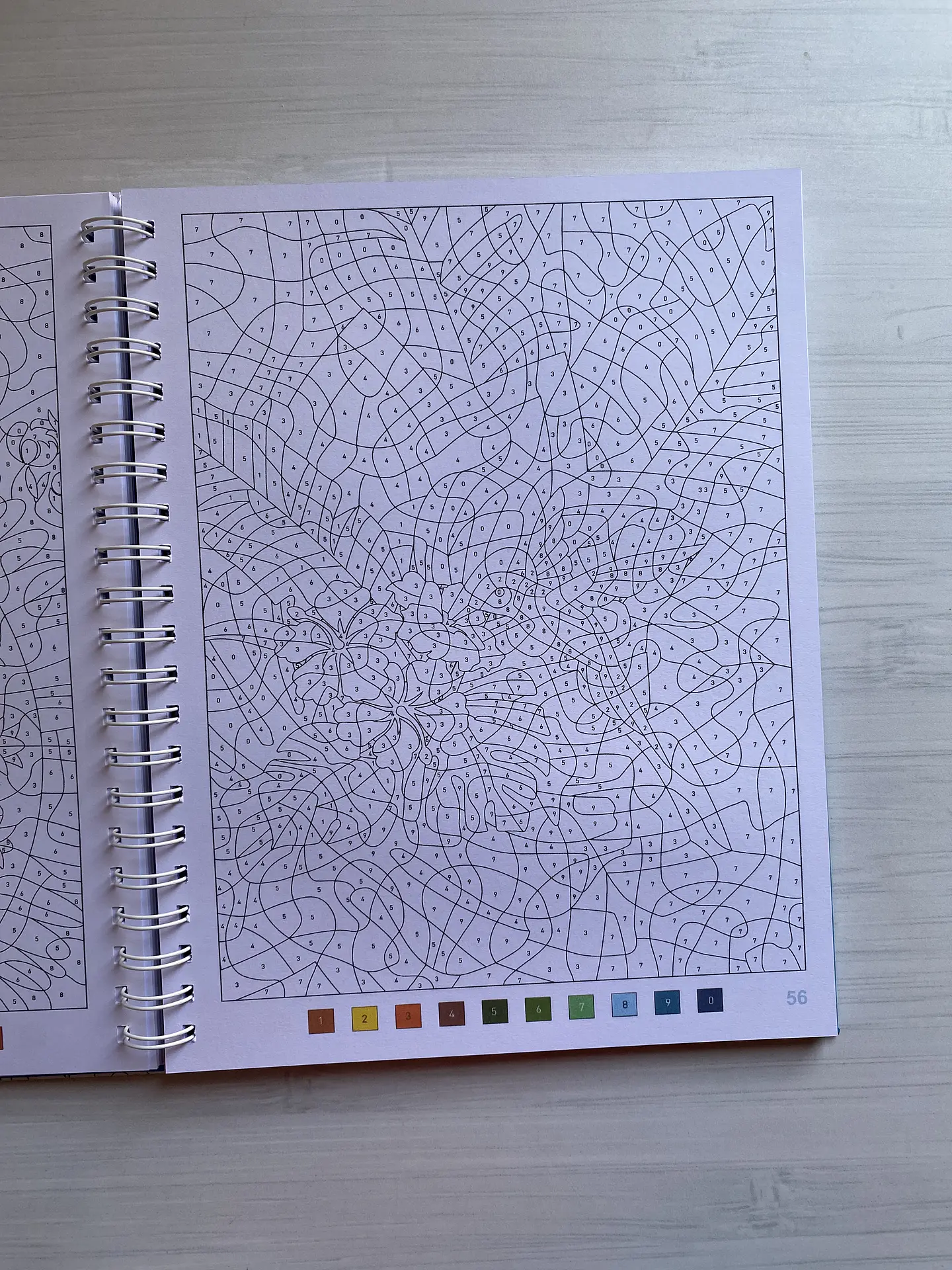 Libro para colorear “ Mandalas