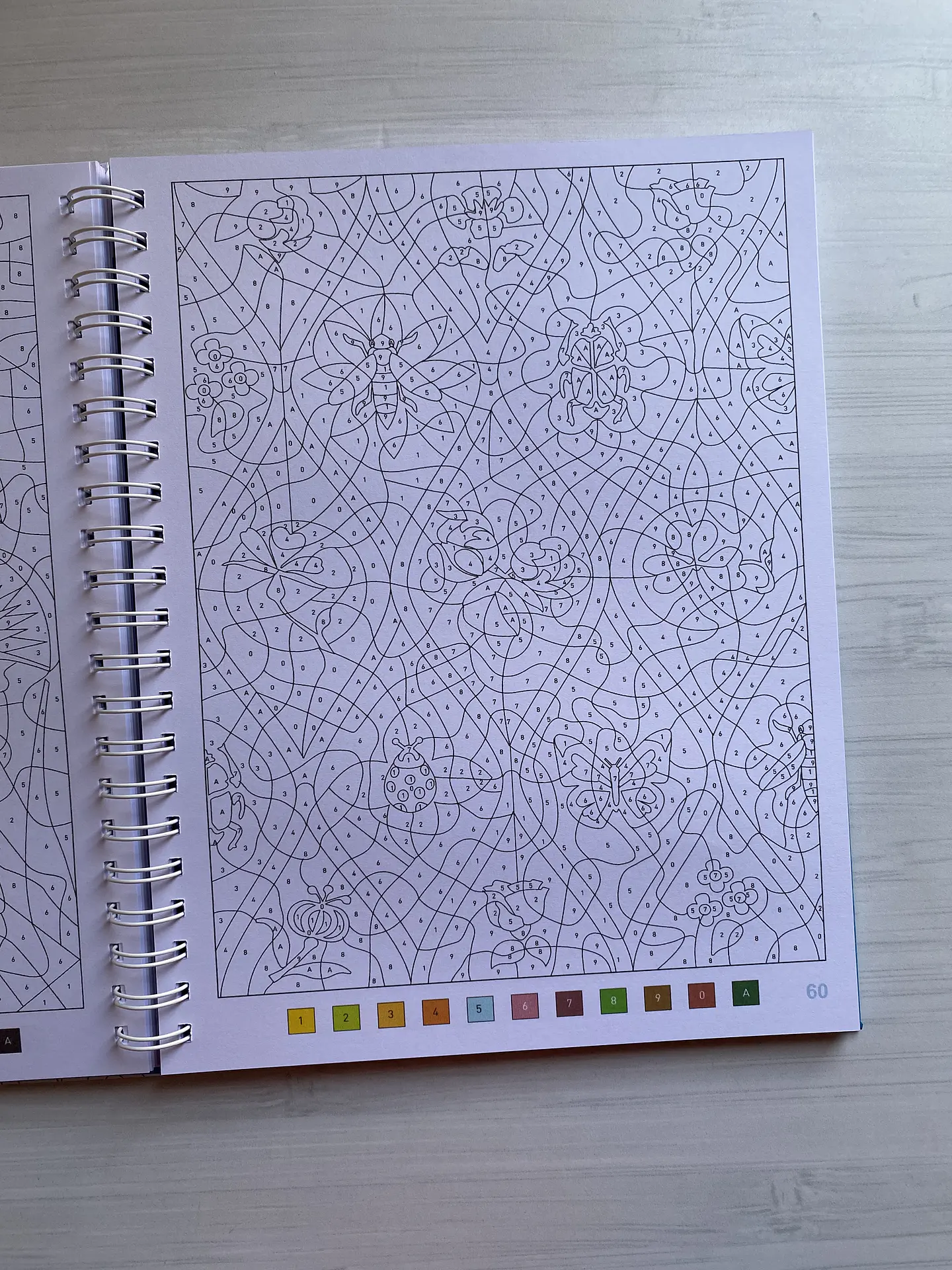 Libro para colorear “ Mandalas