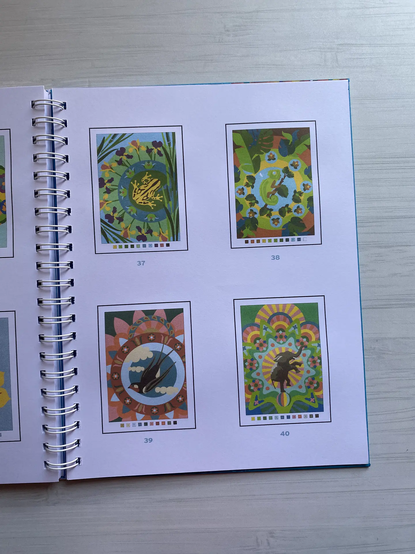 Libro para colorear “ Mandalas