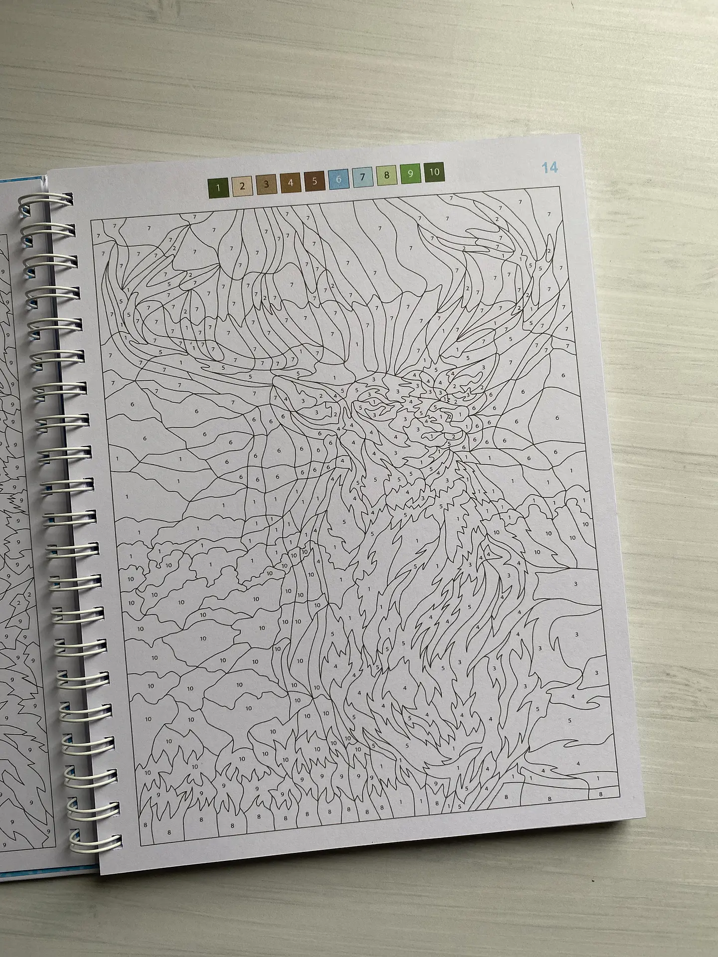 Libro para colorear “ Animales Misteriosos