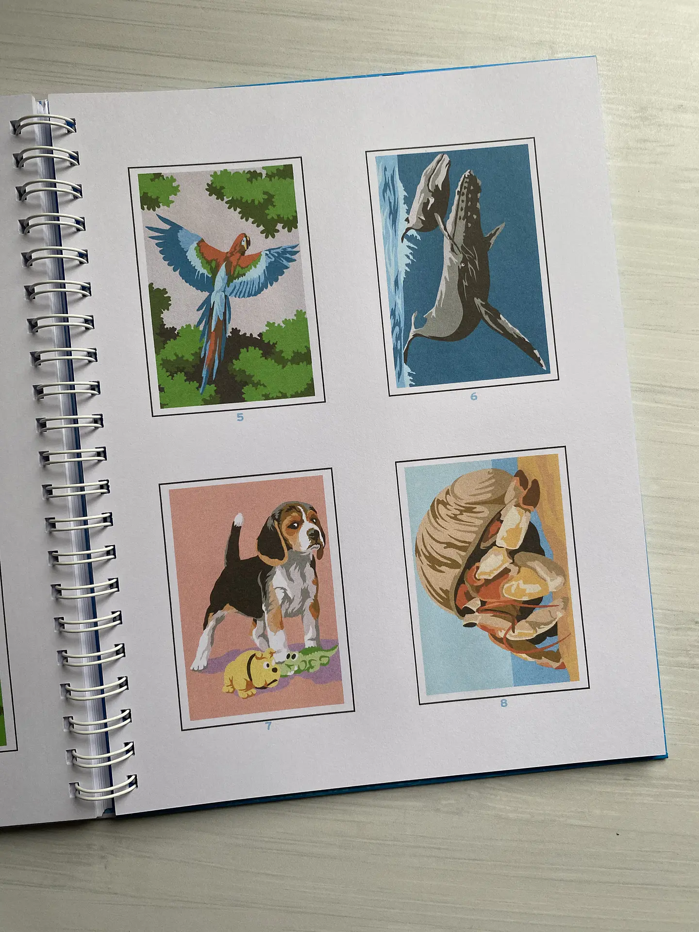Libro para colorear “ Animales Misteriosos