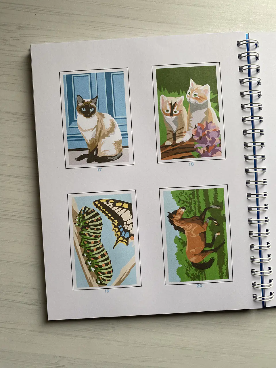 Libro para colorear “ Animales Misteriosos