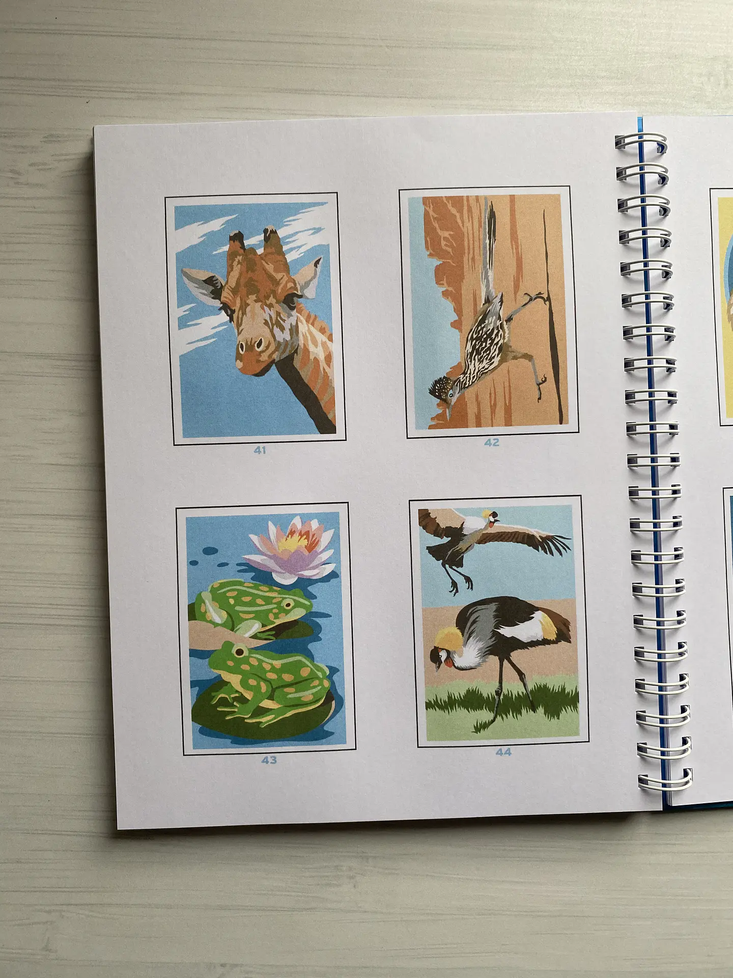 Libro para colorear “ Animales Misteriosos