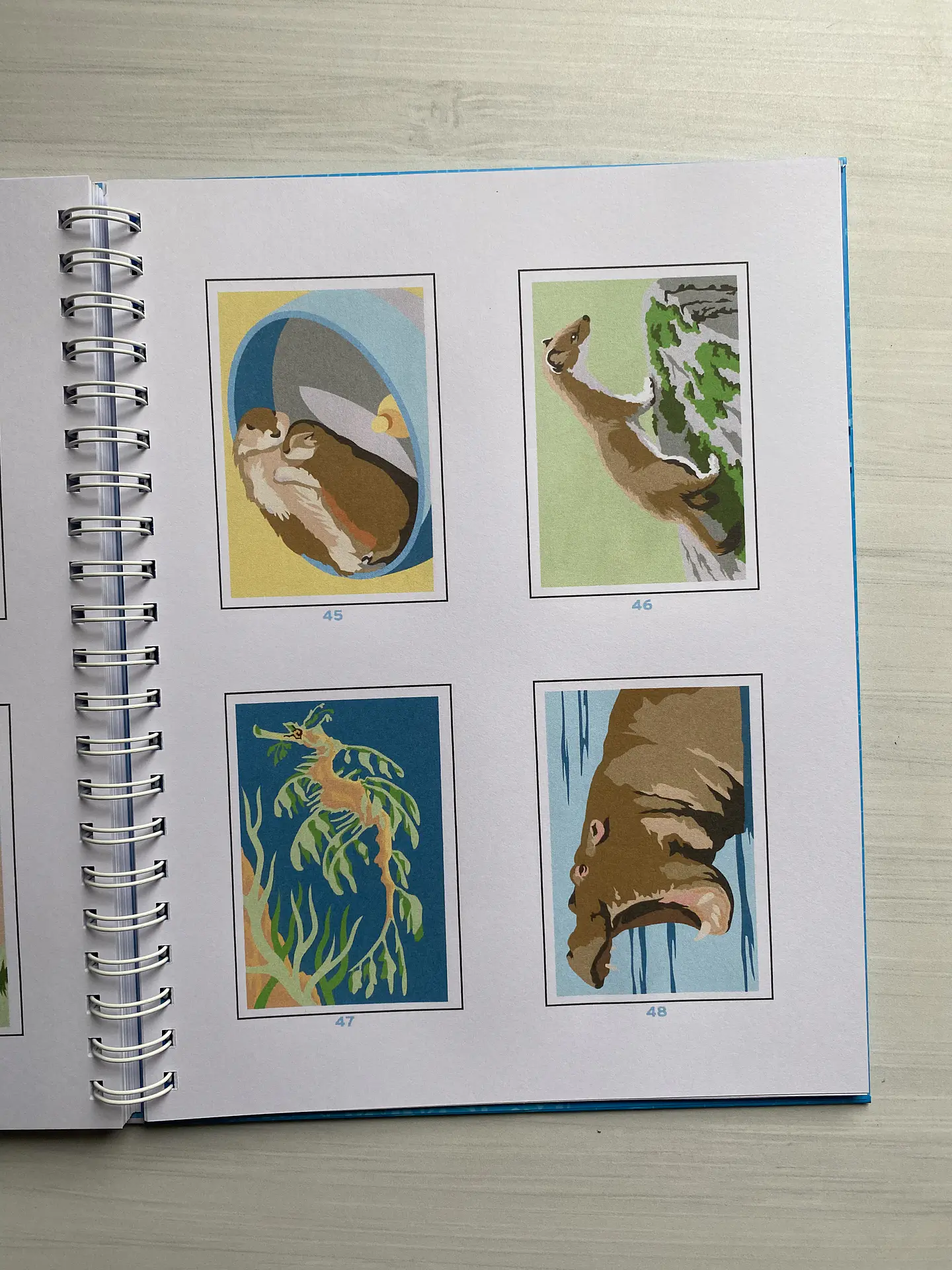 Libro para colorear “ Animales Misteriosos