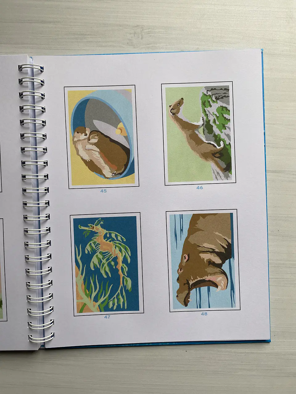 Libro para colorear “ Animales Misteriosos