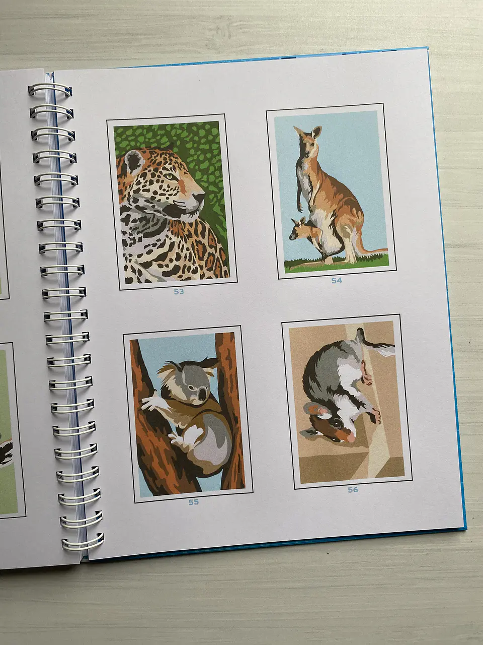 Libro para colorear “ Animales Misteriosos