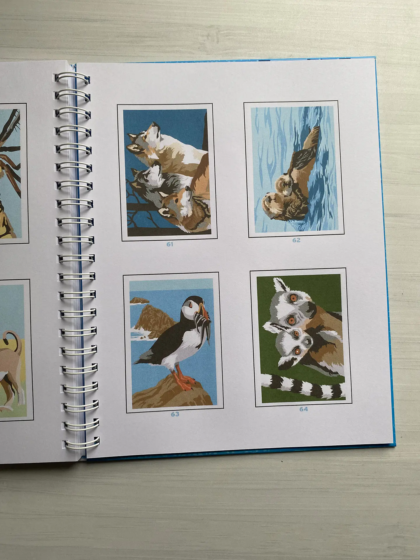 Libro para colorear “ Animales Misteriosos