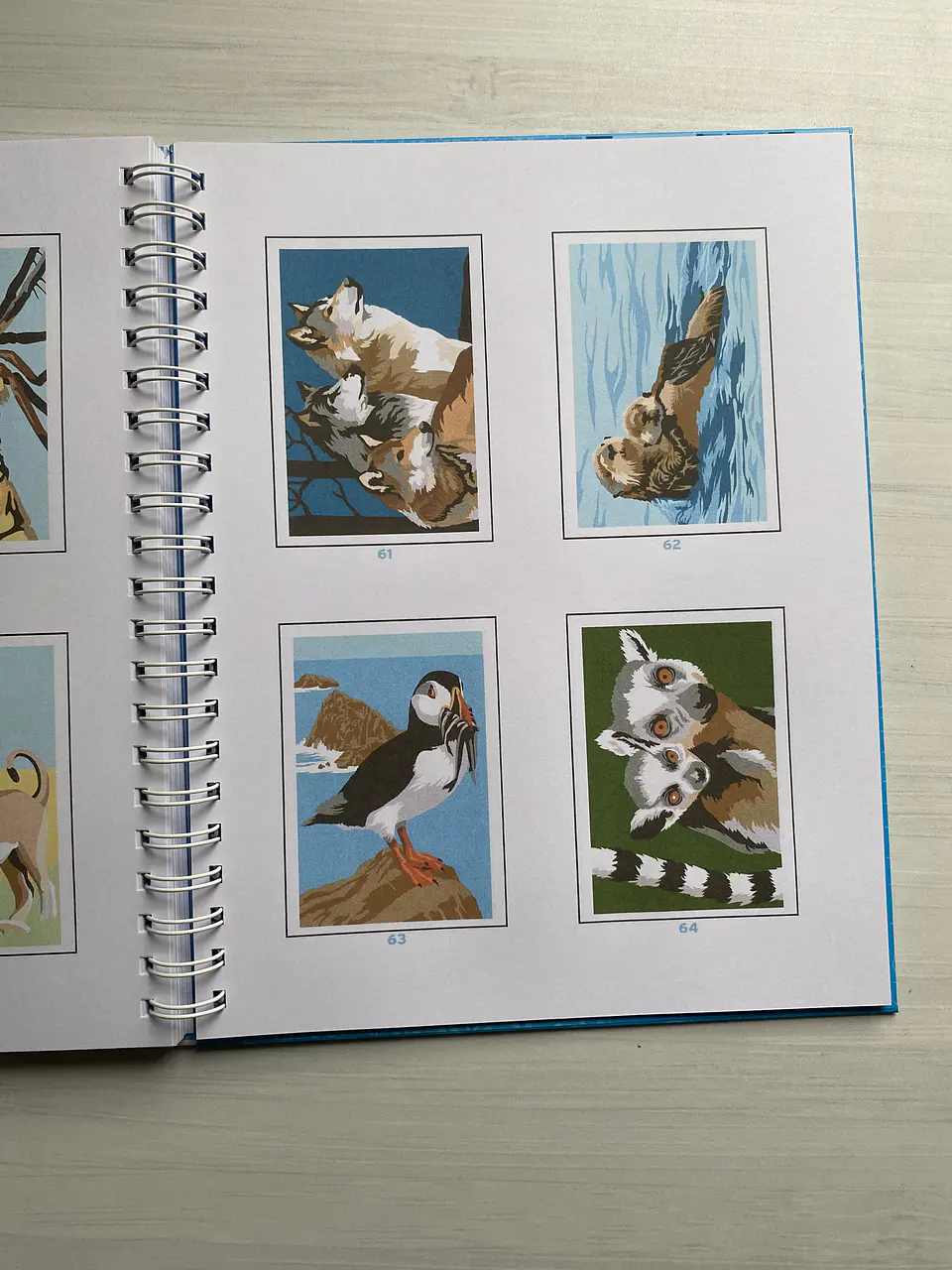Libro para colorear “ Animales Misteriosos