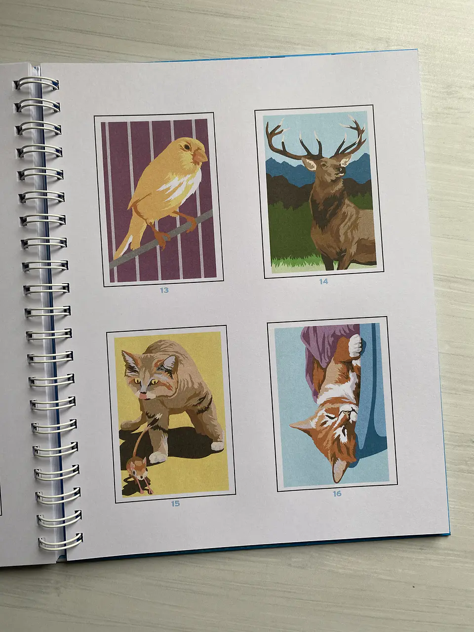 Libro para colorear “ Animales Misteriosos