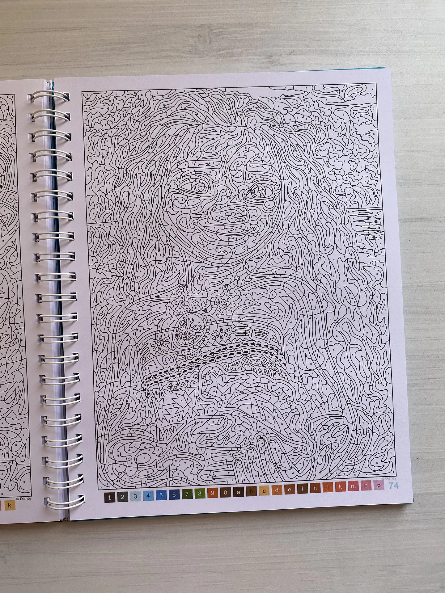 Libro para colorear 