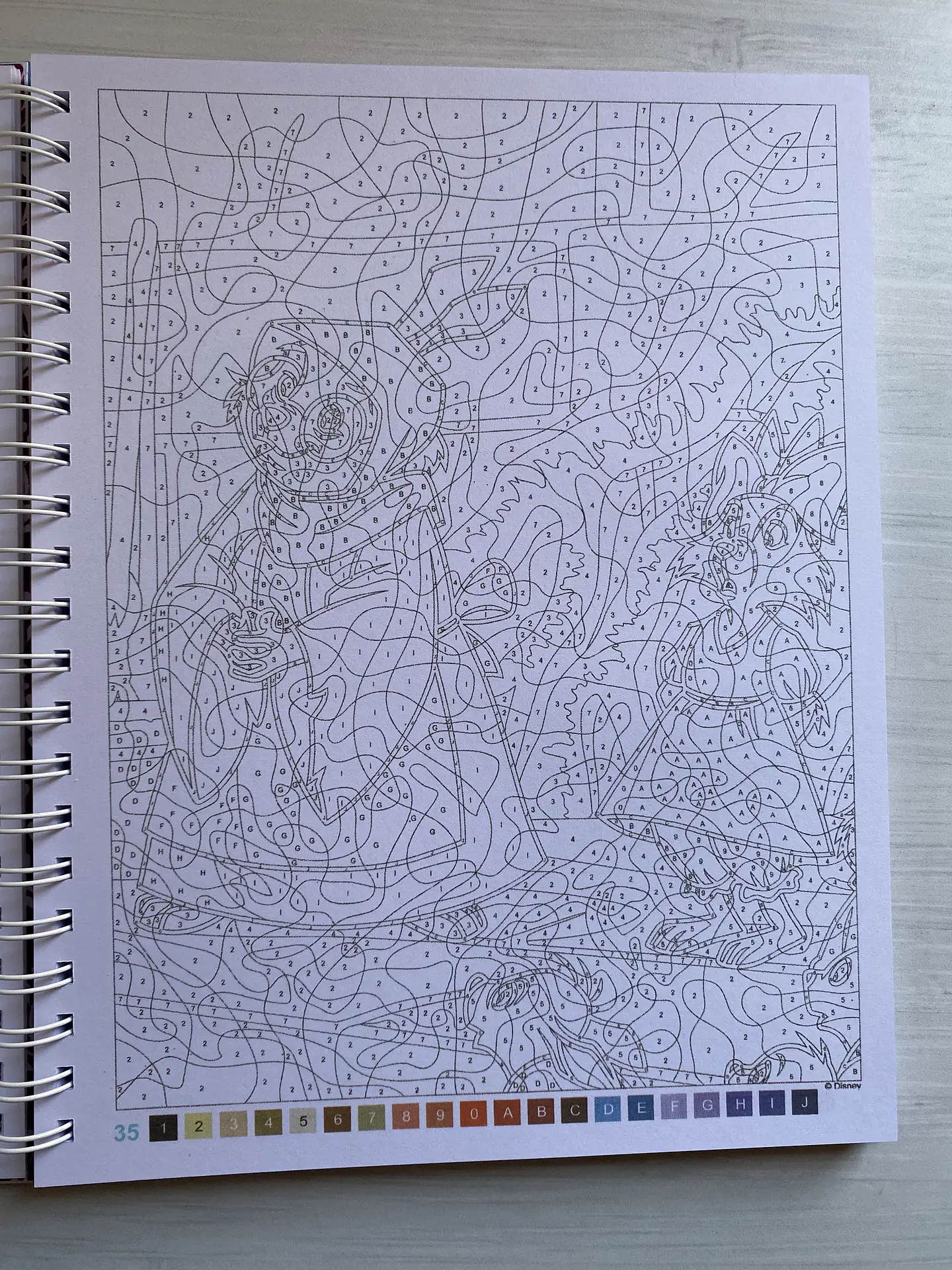 Libro para colorear 