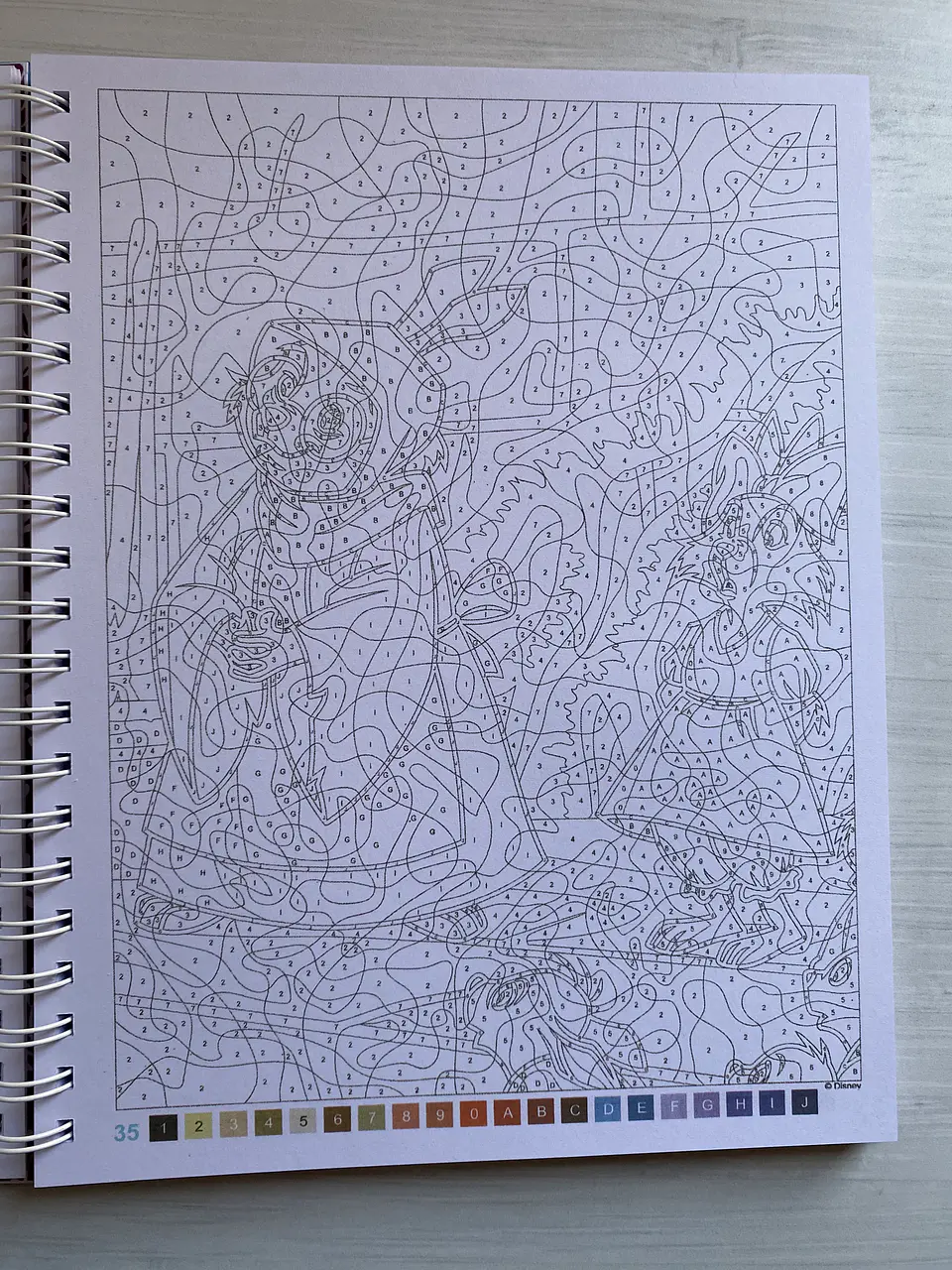 Libro para colorear 