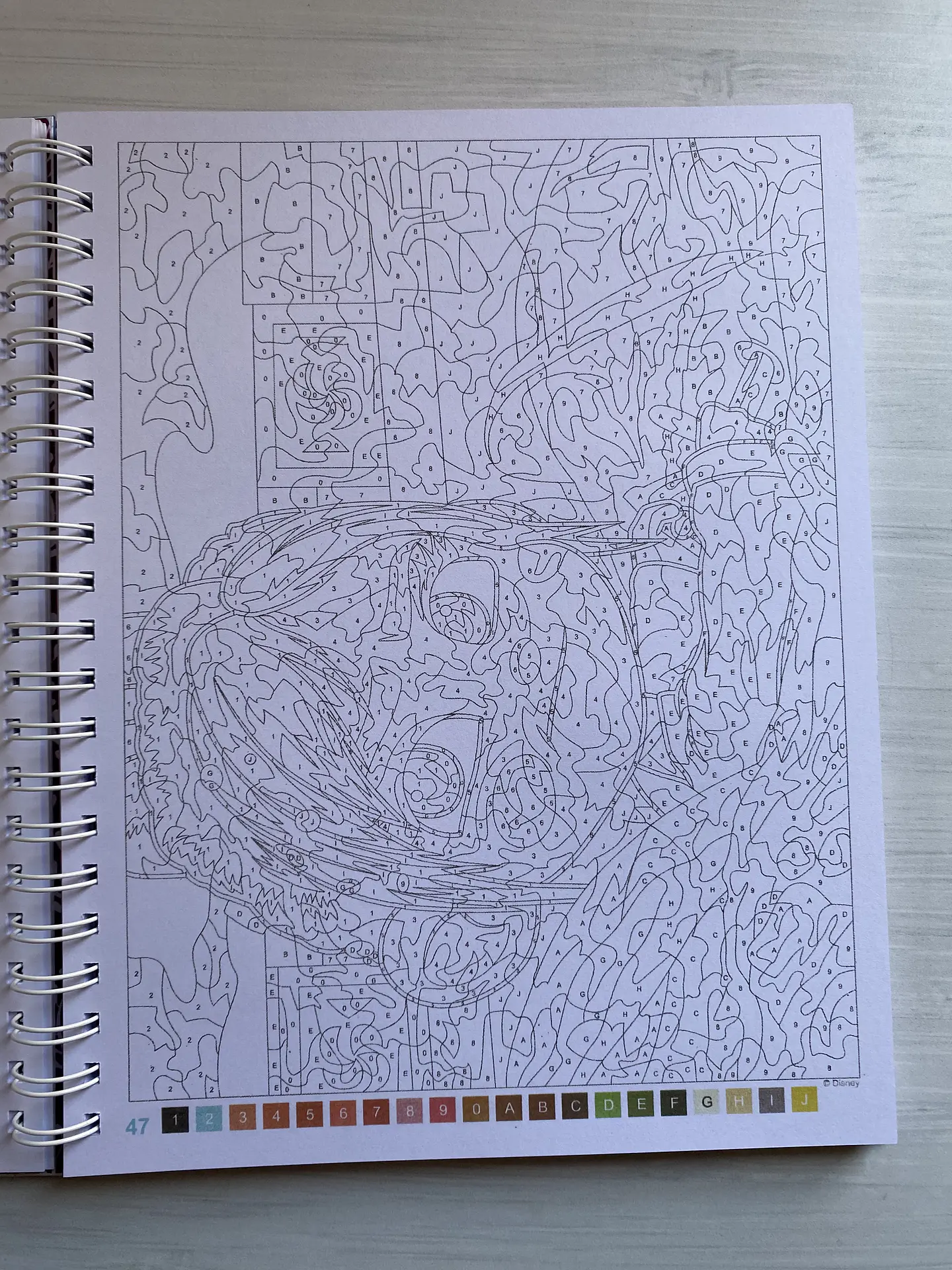 Libro para colorear 