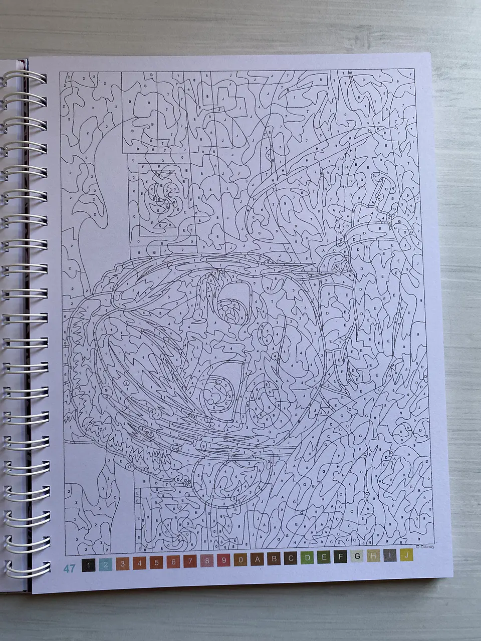 Libro para colorear 