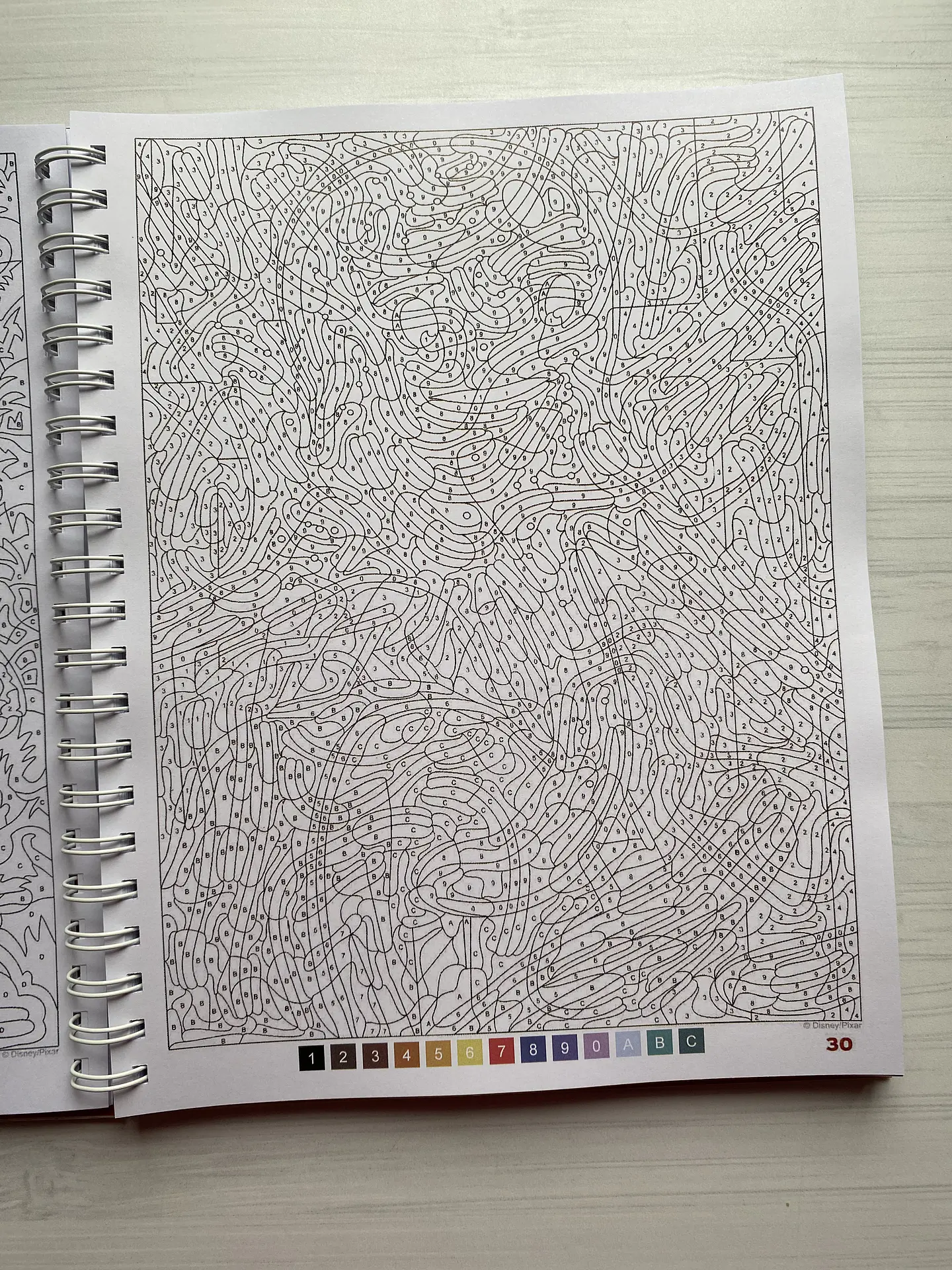 Libro para colorear 