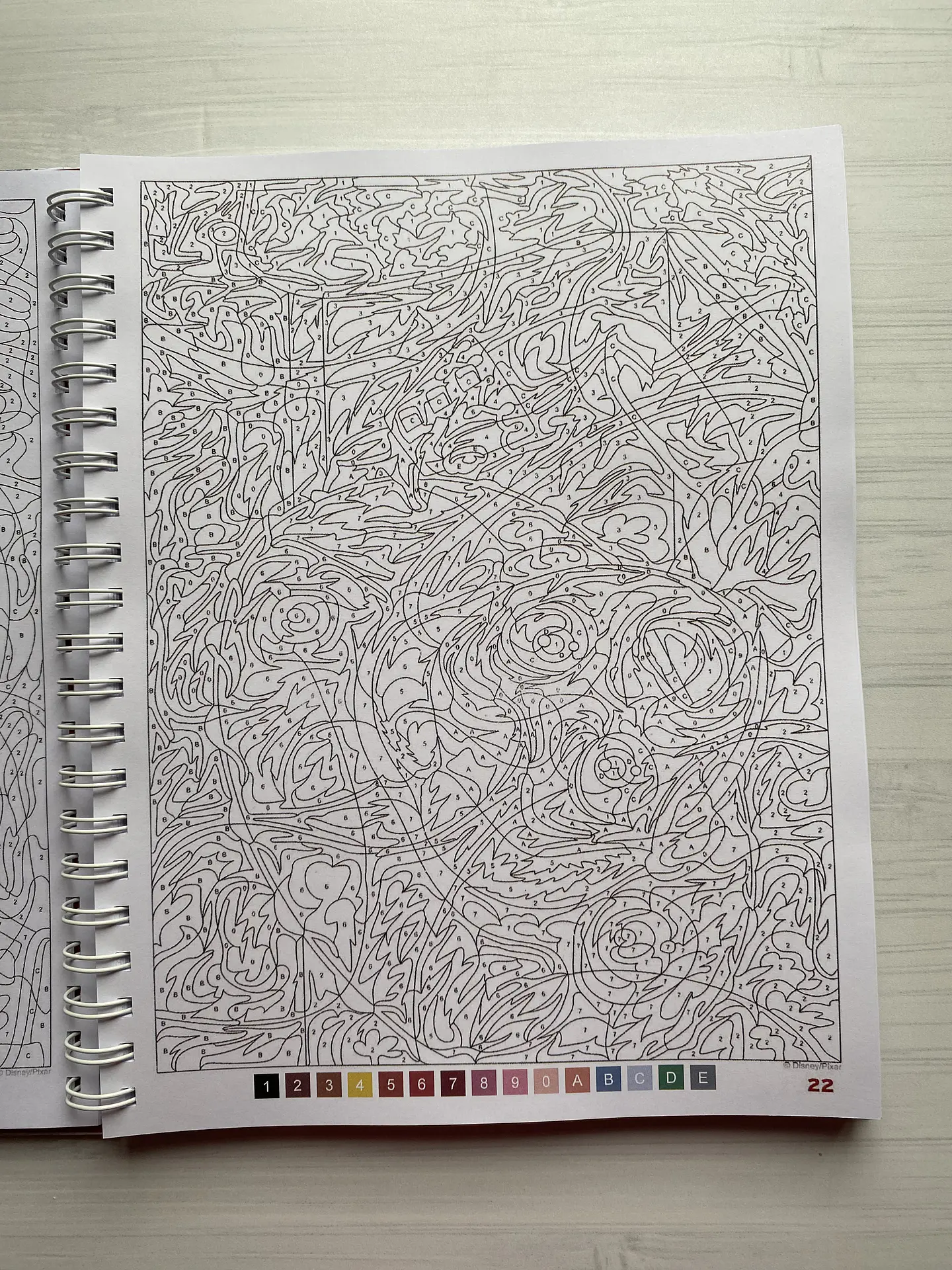 Libro para colorear 