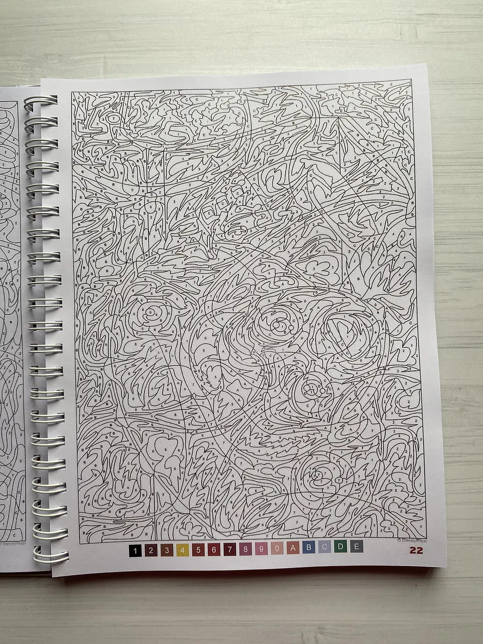 Libro para colorear 