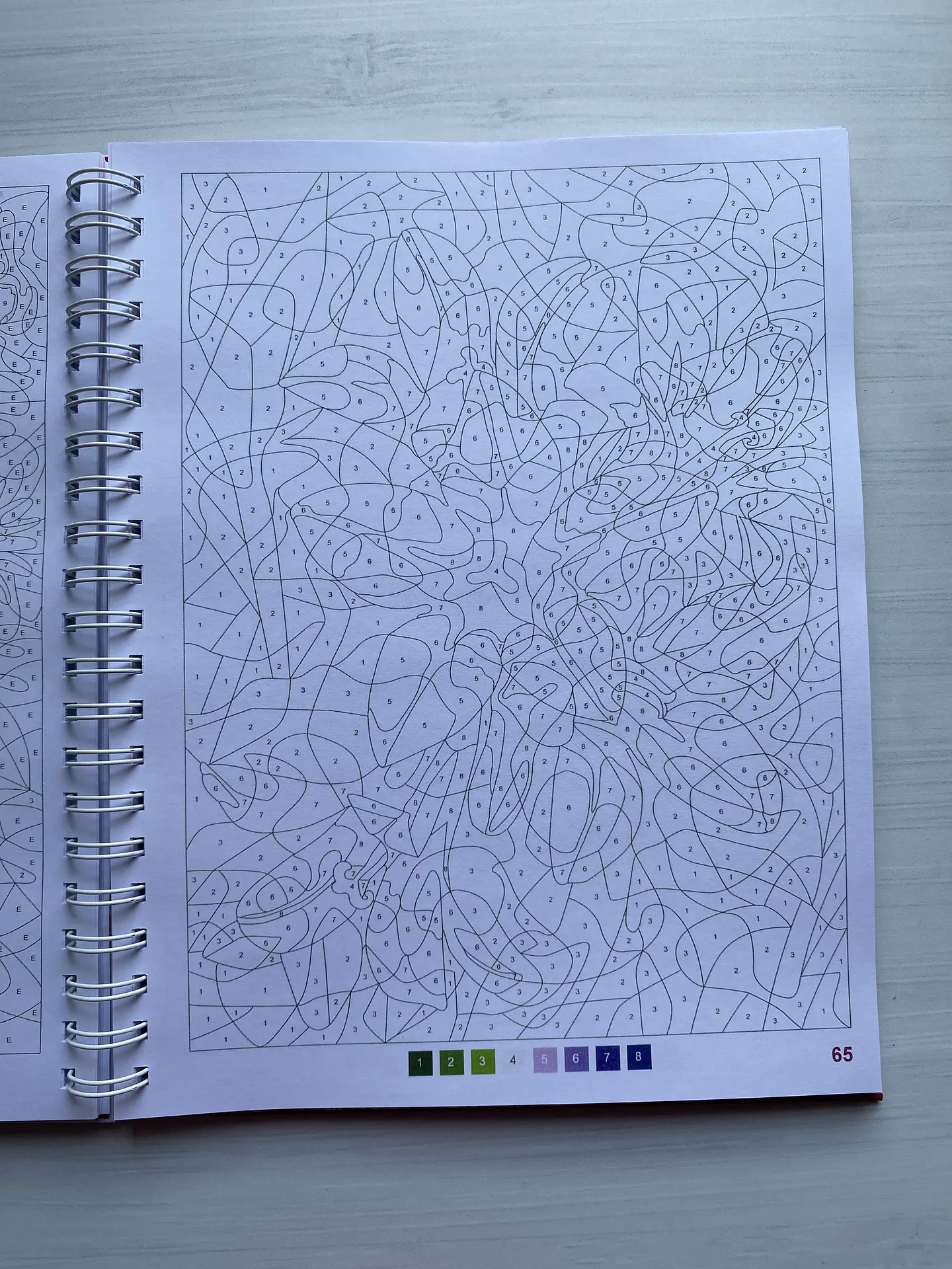 Libro para colorear 