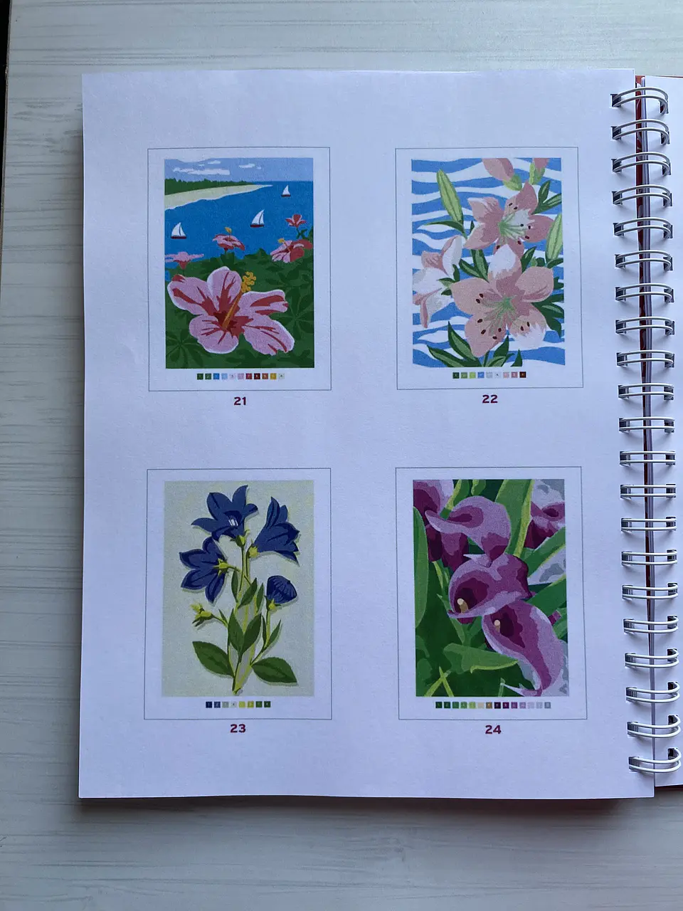 Libro para colorear 