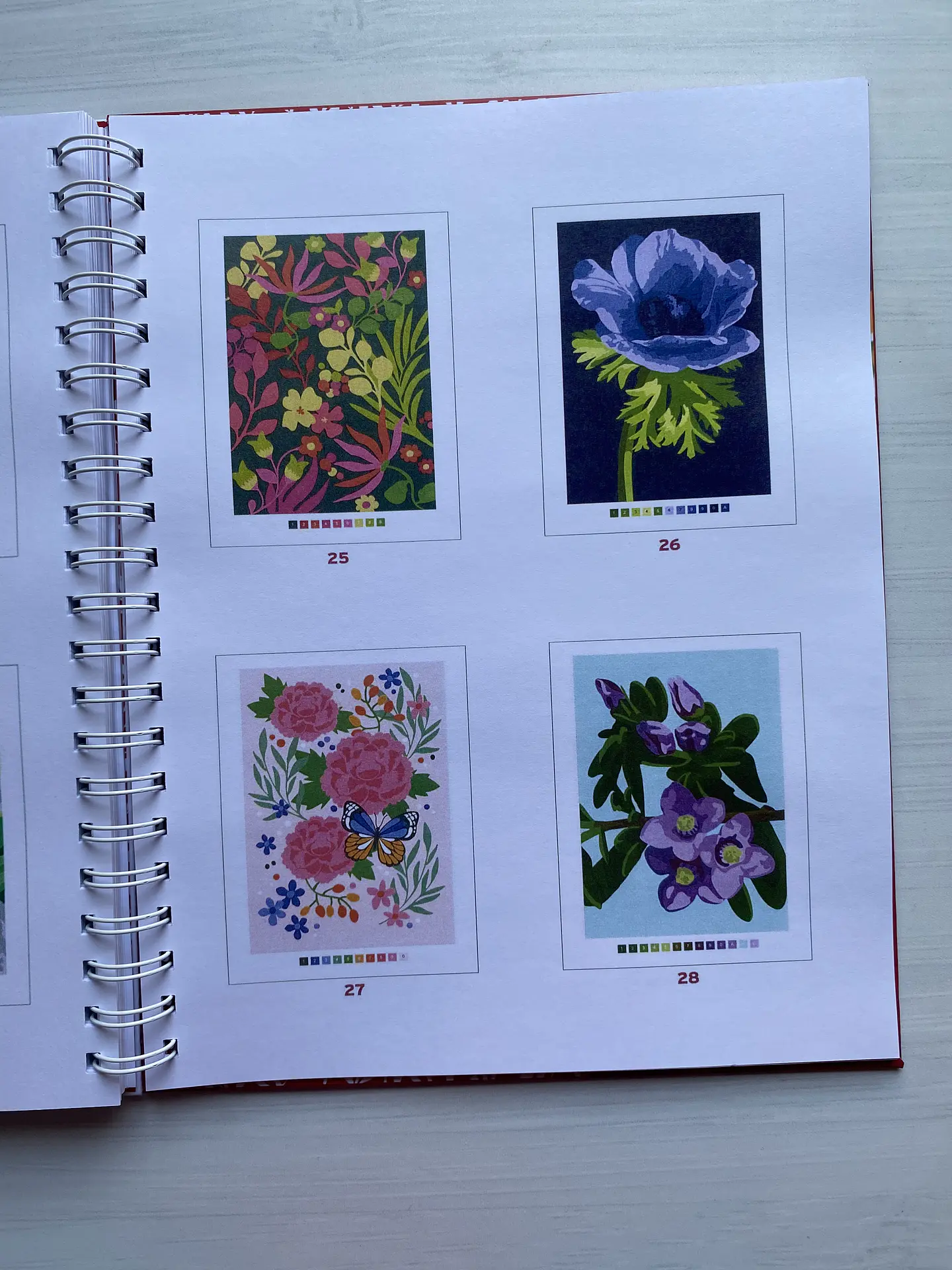 Libro para colorear 