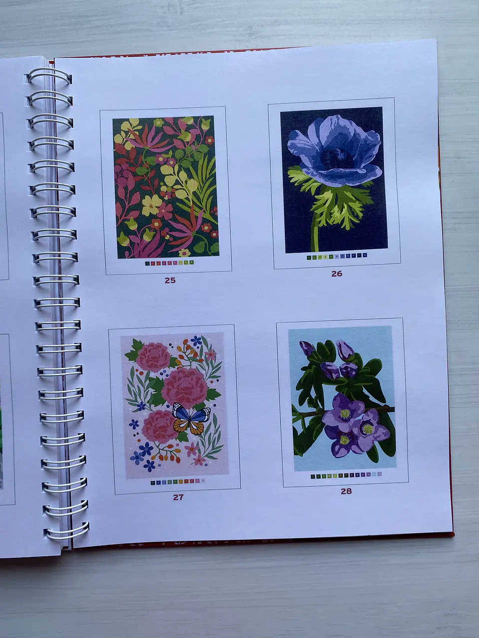 Libro para colorear 