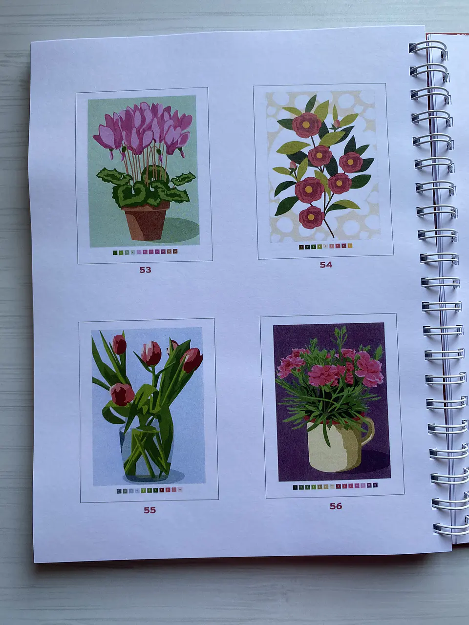 Libro para colorear 