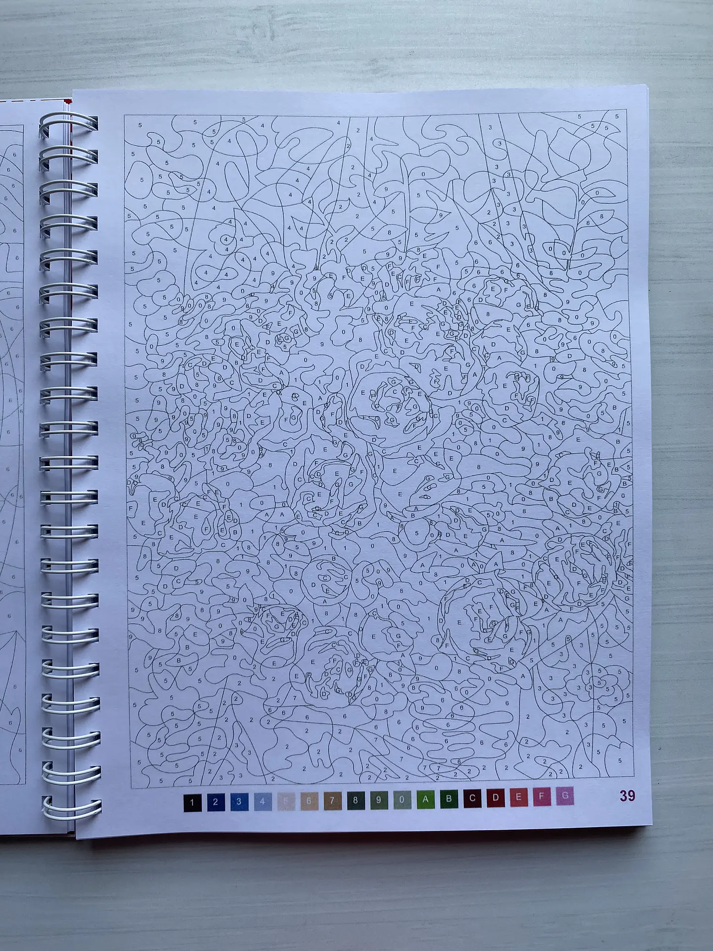 Libro para colorear 