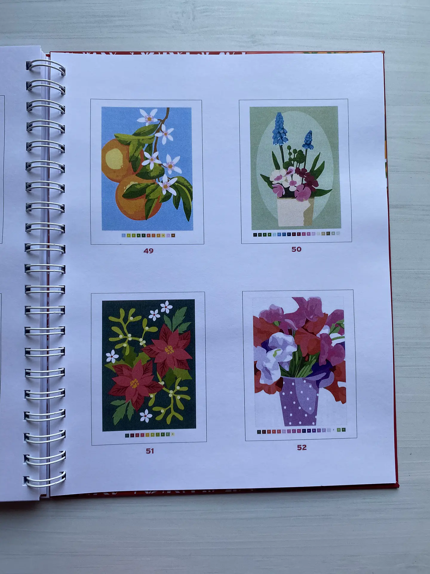 Libro para colorear 