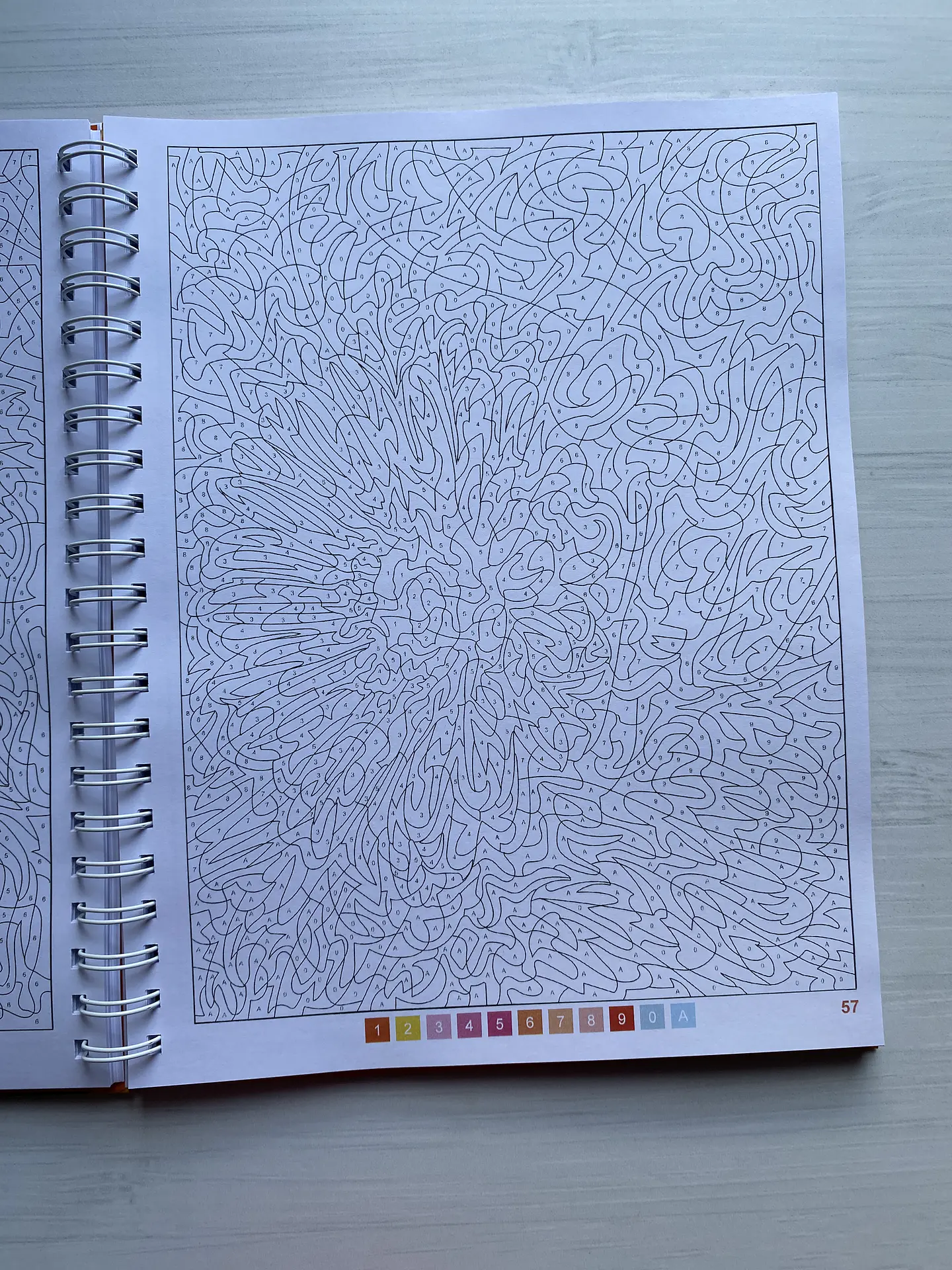 Libro para colorear 