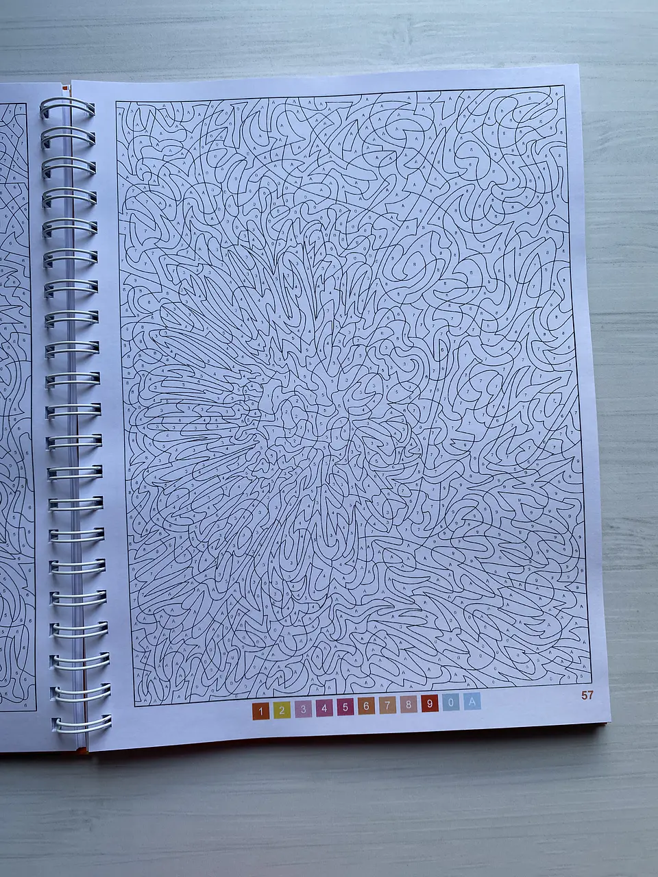 Libro para colorear 