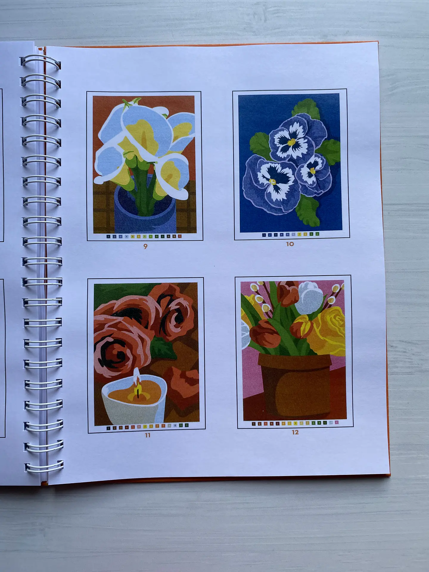Libro para colorear 