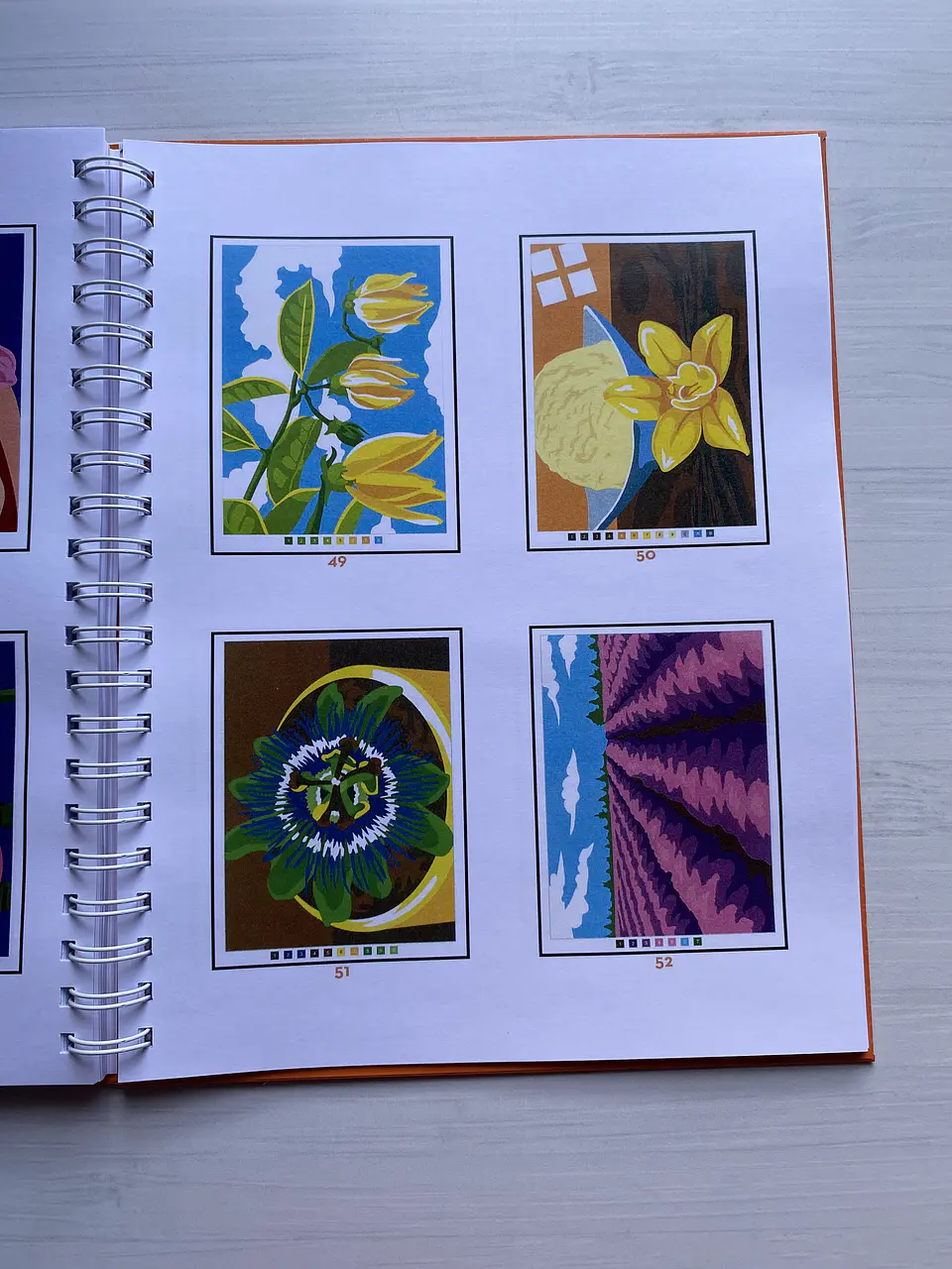 Libro para colorear 