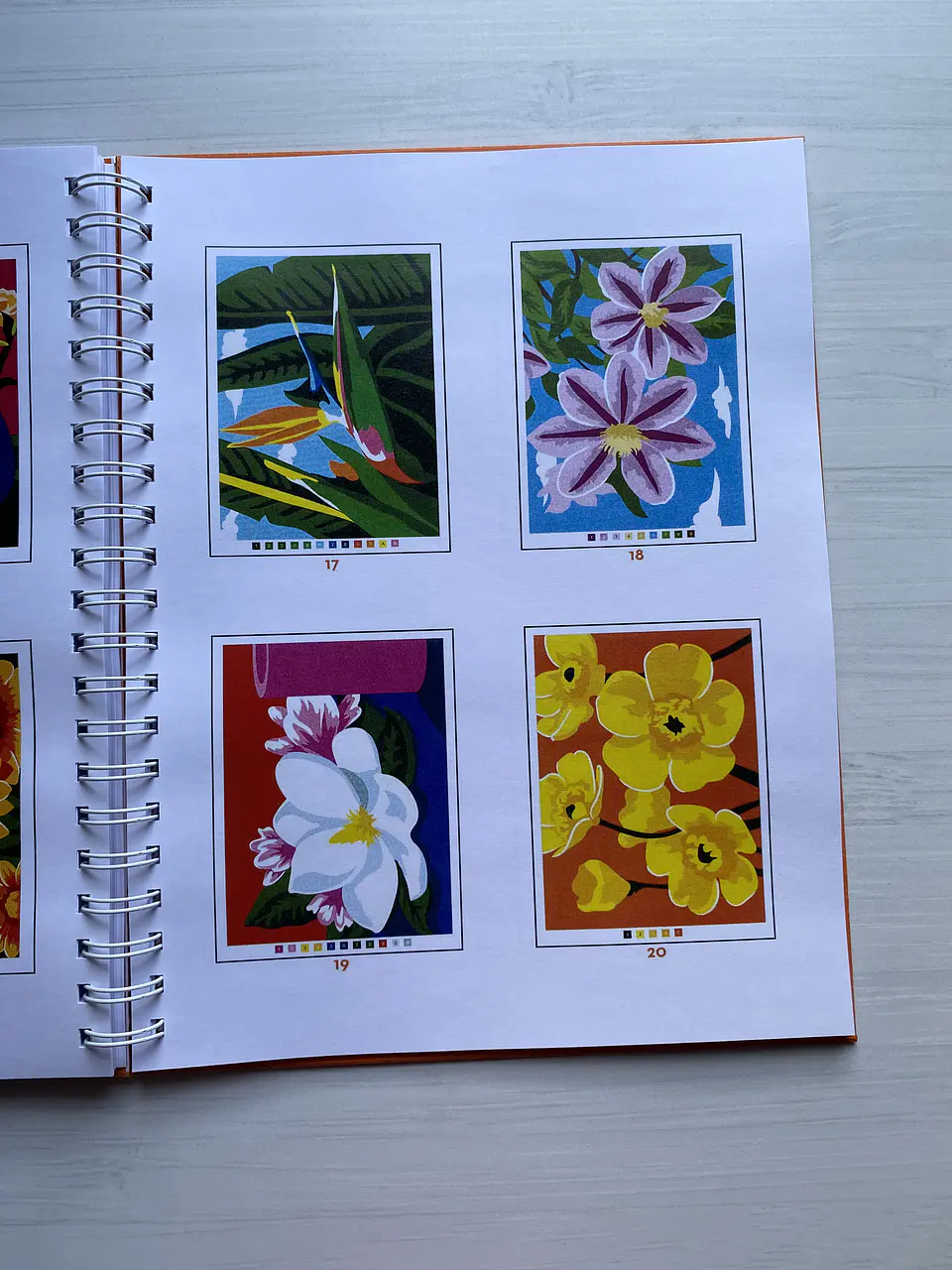 Libro para colorear 