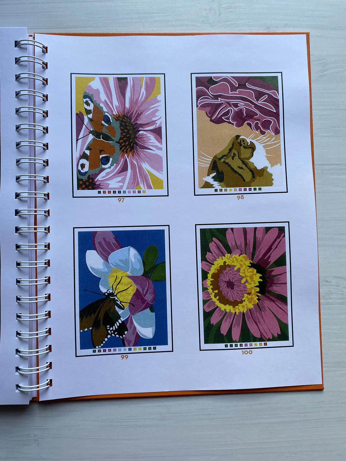 Libro para colorear 