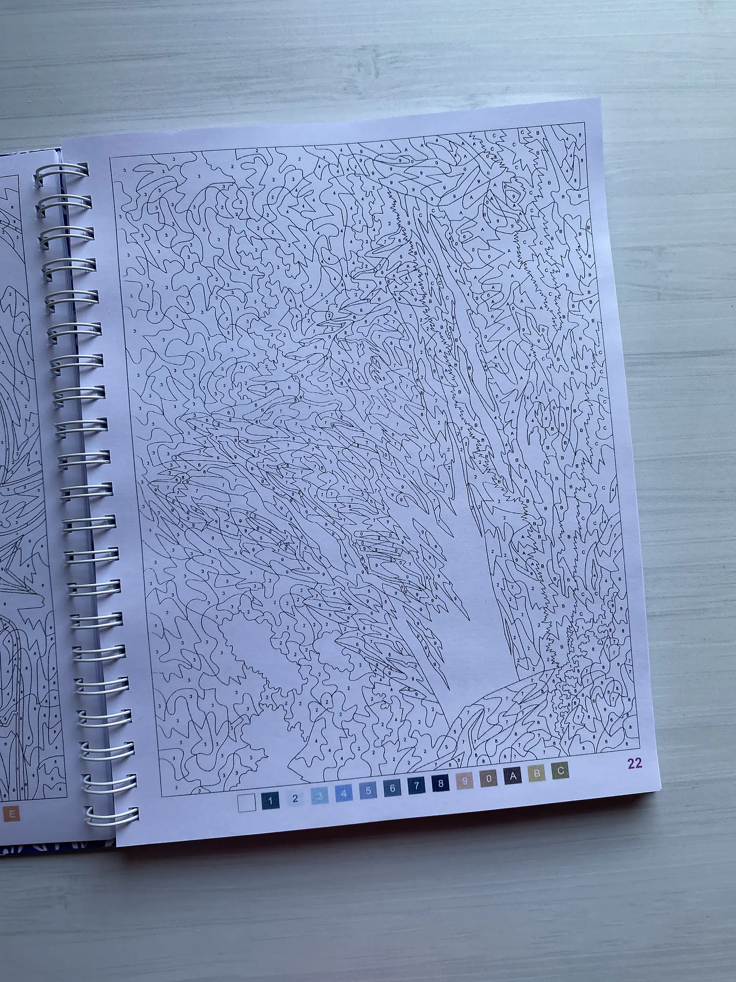 Libro para colorear 