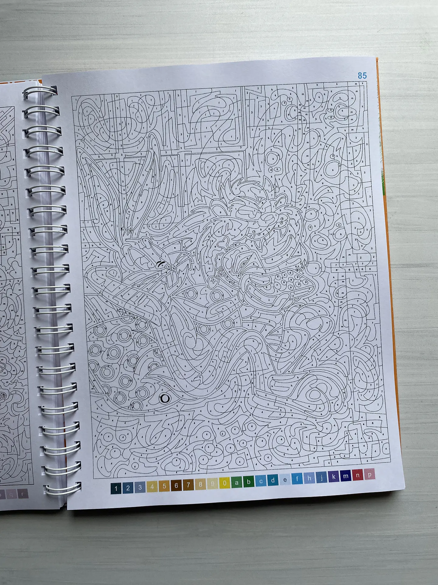 Libro para colorear 