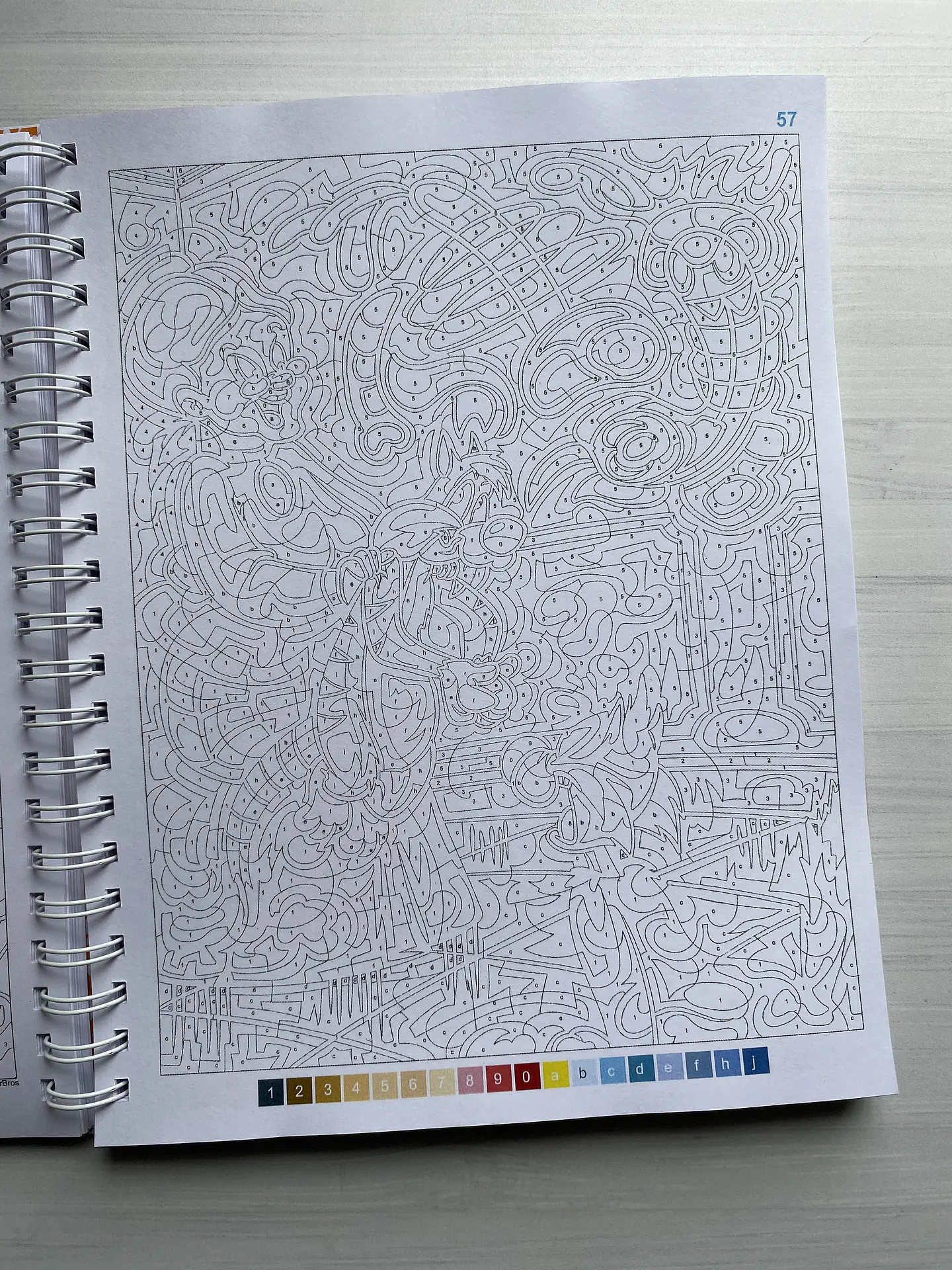 Libro para colorear 